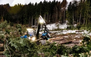 Baumfällung im Wald der Bürgergemeinde Bischofszell