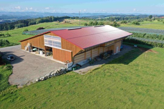Sandwich-Bauweise: Dach eines Stalls | Krattiger Holzbau AG Amriswil